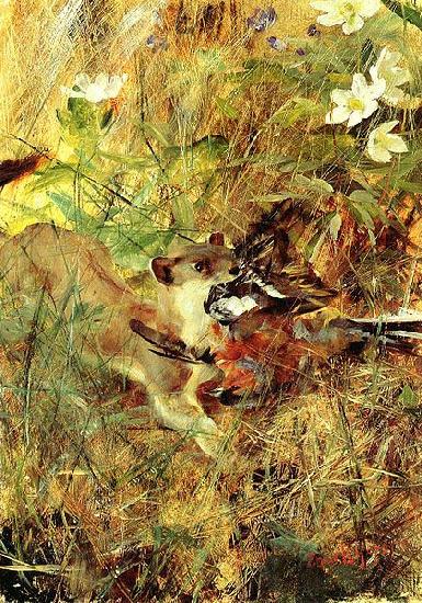bruno liljefors Weasel with Chaffinch Norge oil painting art